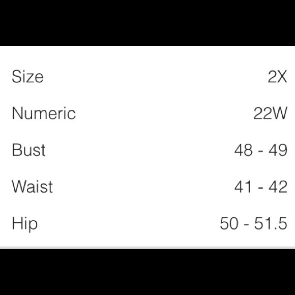 CHANCES R 💄 SOFT BLACK LIPSTICK LEGGINGS Size 2X - Picture 5 of 5